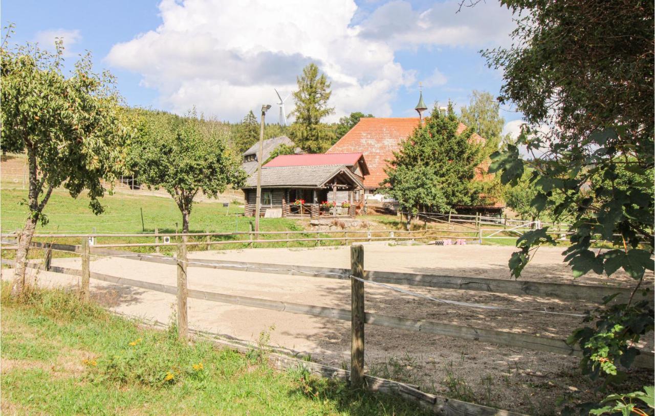 Chalet Bestaenderhof Schonach im Schwarzwald Экстерьер фото